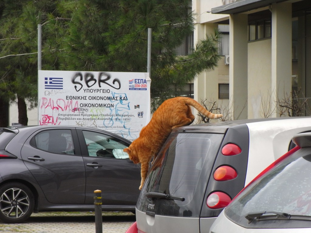 The Destination #6 – Trojan Horse / I Hate&nbsp;Poetry