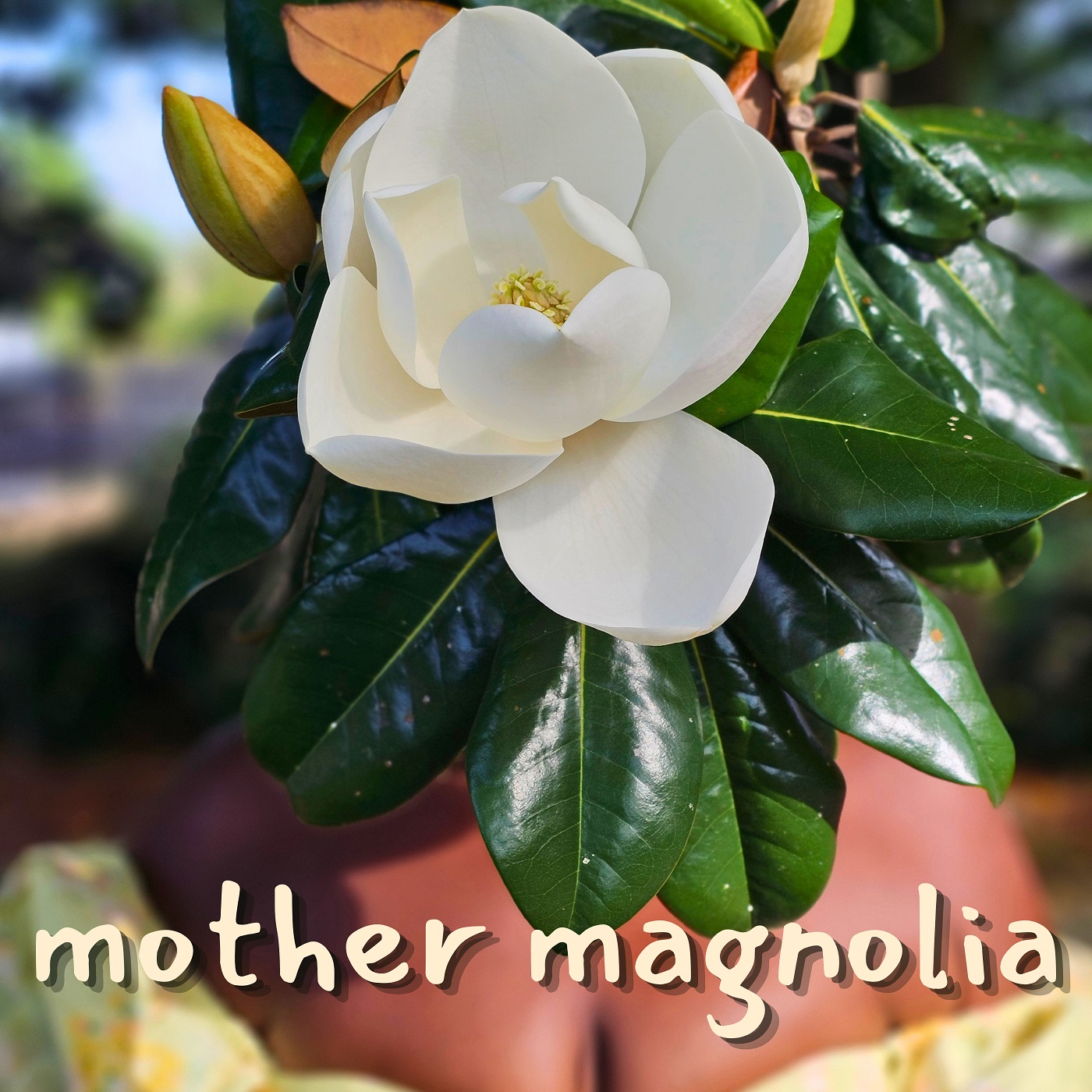 Dusky Waters – “Mother Magnolia” review